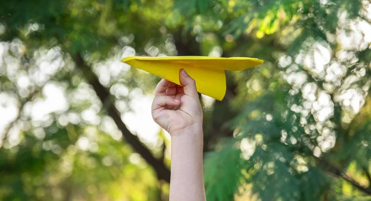 Виберіть паперовий літачок і отримаєте корисну та важливу пораду: легкий візуальний тест - today.ua