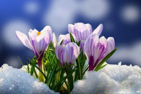 Завтра - весна: какой прогноз погоды синоптики подготовили украинцам на первый день марта