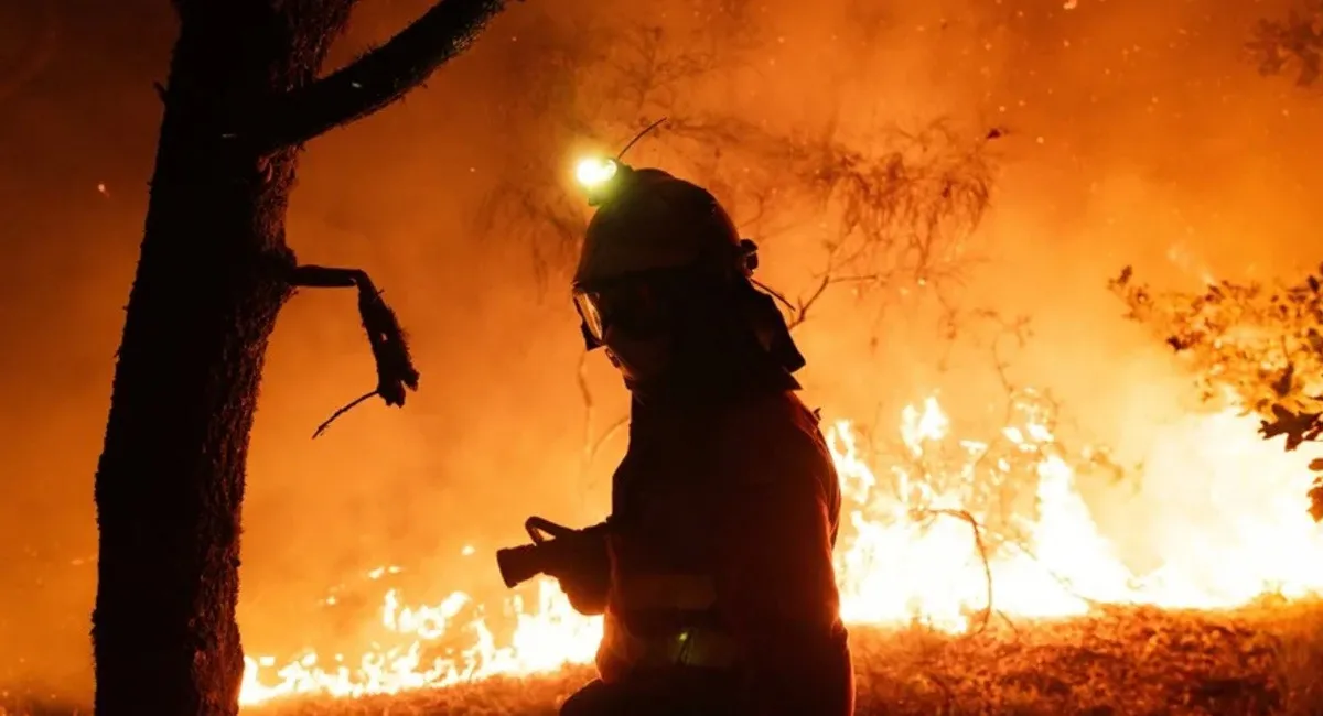 Пожар на 10 гектарах: дрон РФ атаковал уникальную экосистему Дуная - today.ua