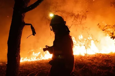 Пожар на 10 гектарах: дрон РФ атаковал уникальную экосистему Дуная