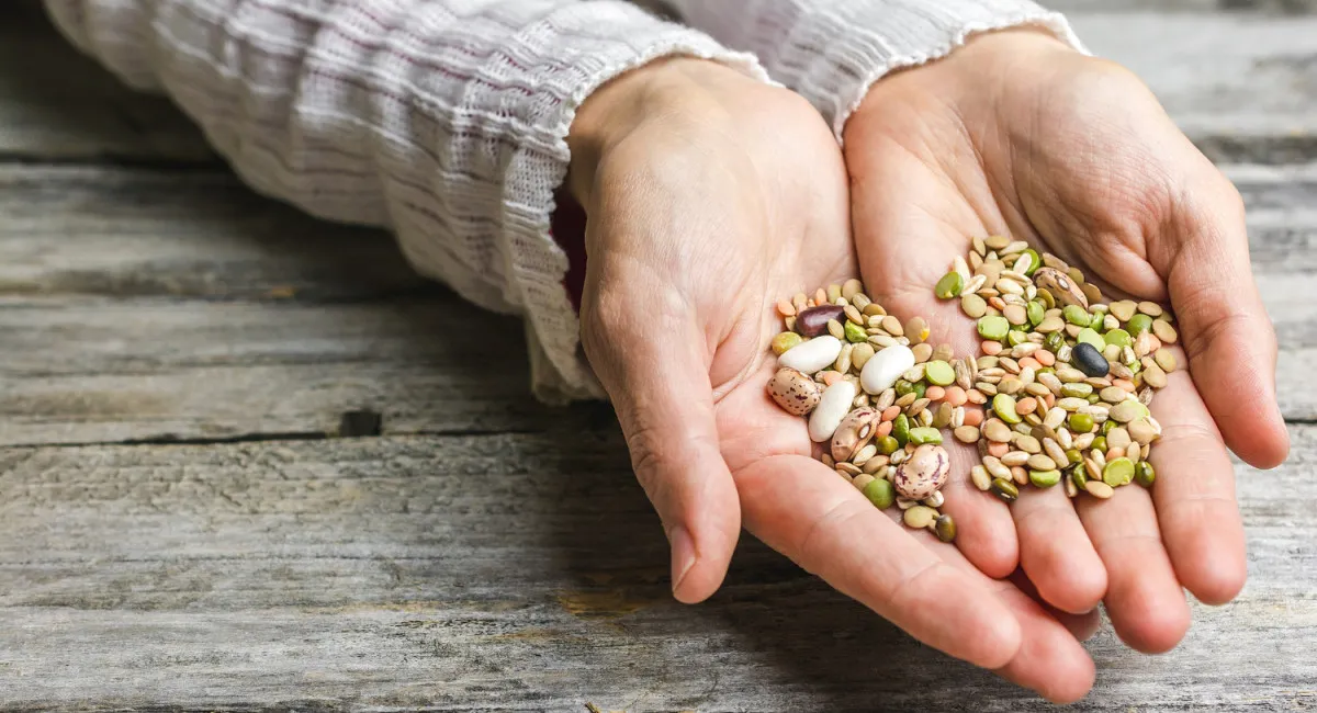 ООН раздаст украинцам семена овощей и картофель: в каких регионах можно будет получить наборы - today.ua