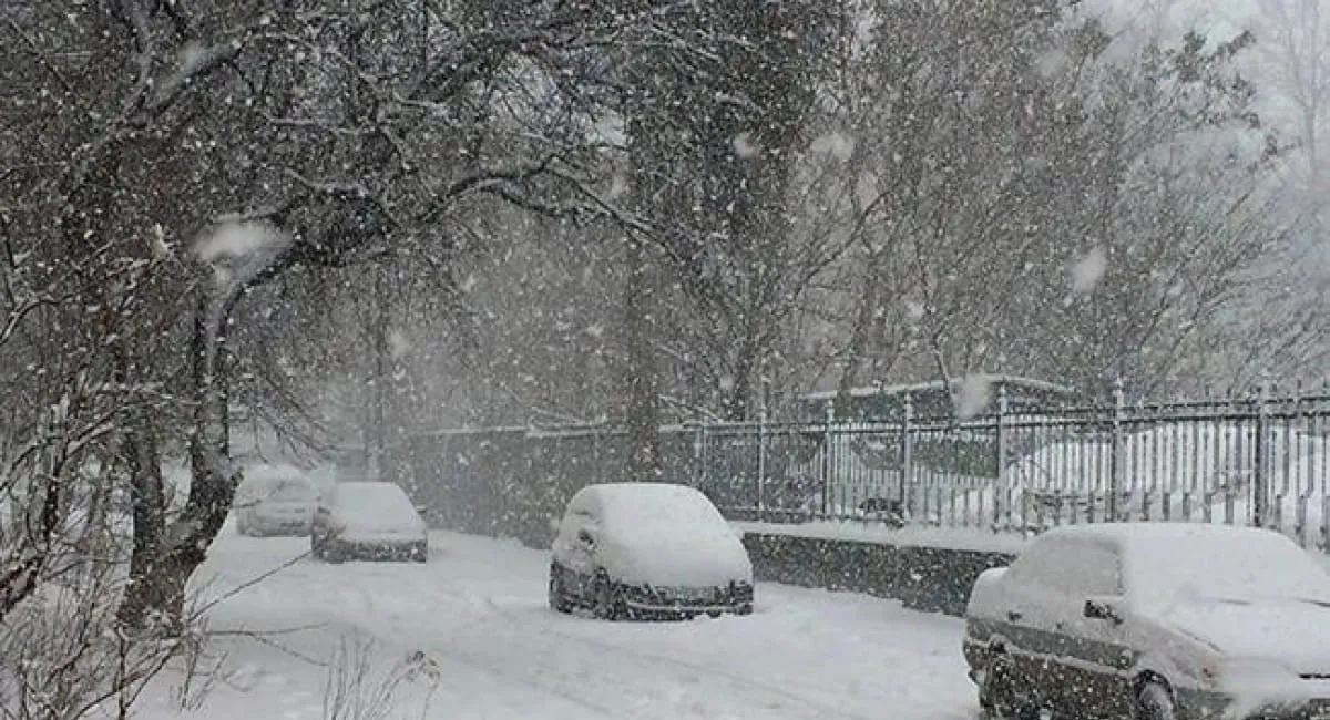 Правительство готовит для украинцев особые условия работы и обучения во время непогоды - today.ua