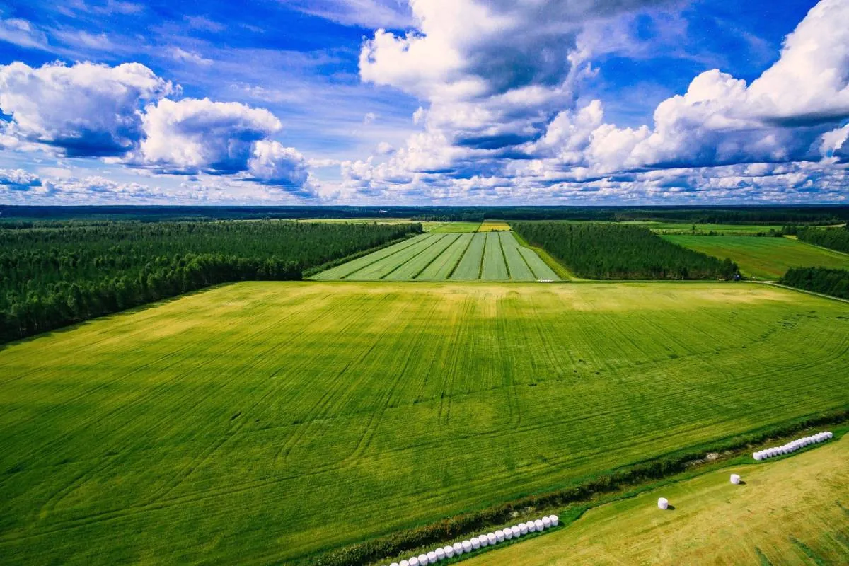 Осталась неделя: иностранцы получают доступ к украинской земле - today.ua
