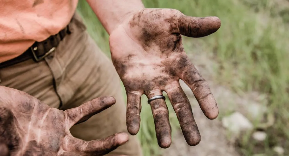 Обіцяли роботу й житло, а перетворили на рабів: на Одещині на фермі утримували людей без грошей і документів - today.ua