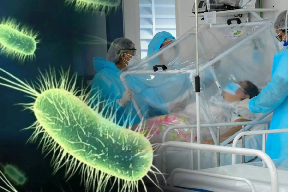 Будут убивать даже уже привычные болезни: глобальное потепление запускает биологический кризис - today.ua