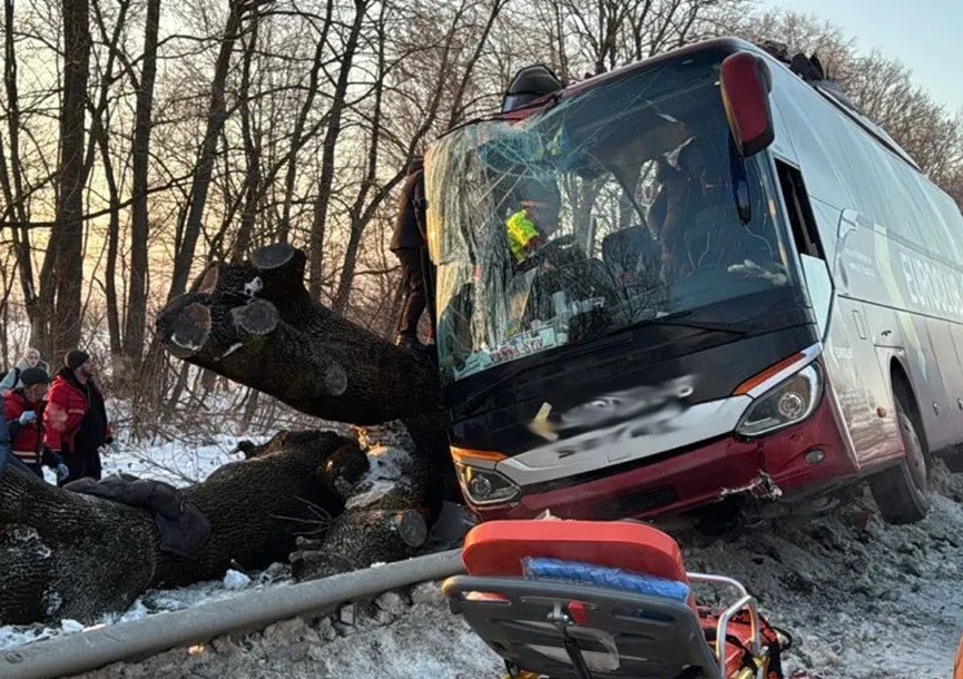 Ужасная авария на Львовщине: автобус Вена–Киев съехал с трассы, есть раненые (фото) - today.ua