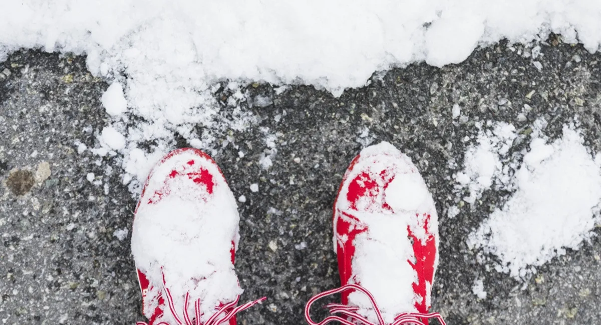 Мороз до −20 не страшний: що покласти в шкарпетки, аби ноги не мерзли - today.ua