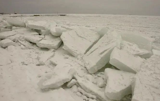 В Одесі почалась кліматична аномалія, якої не було вже багато років (Фото) - today.ua