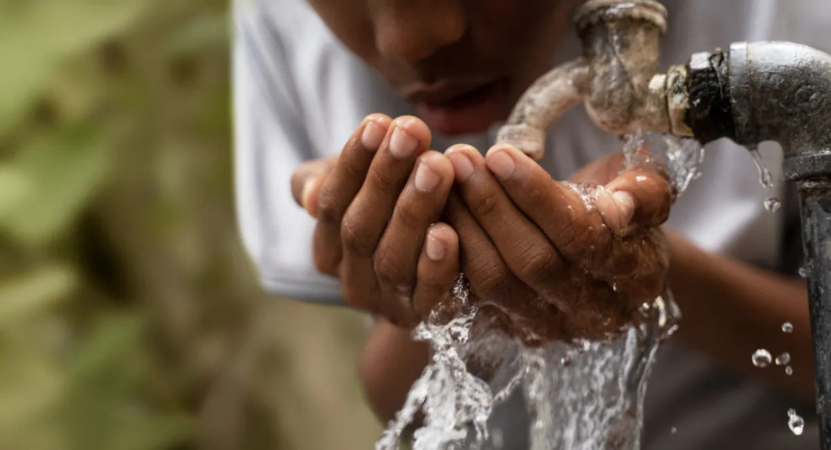В ООН бьют тревогу: наша планета катастрофически теряет запасы пресной воды - today.ua