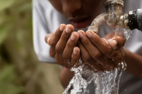 В ООН бьют тревогу: наша планета катастрофически теряет запасы пресной воды
