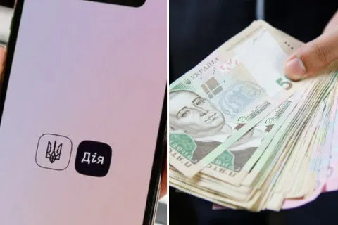 Для українців, які мають на телефоні Дію, доступний новий вид допомоги: як оформити