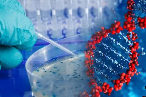 ШІ навчився створювати живі віруси з нуля: прорив у медицині чи тривожний сигнал для людства?