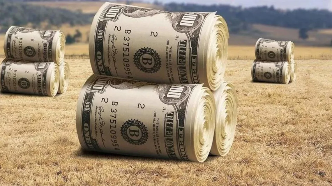 В Украине могут запретить продажу земли для некоторых категорий граждан - today.ua