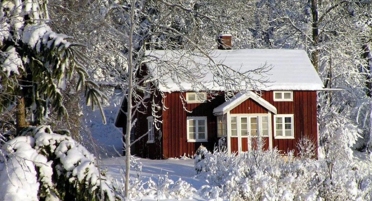 Дом вместо квартиры: сколько стоит аренда и проживание в автономном жилище - today.ua