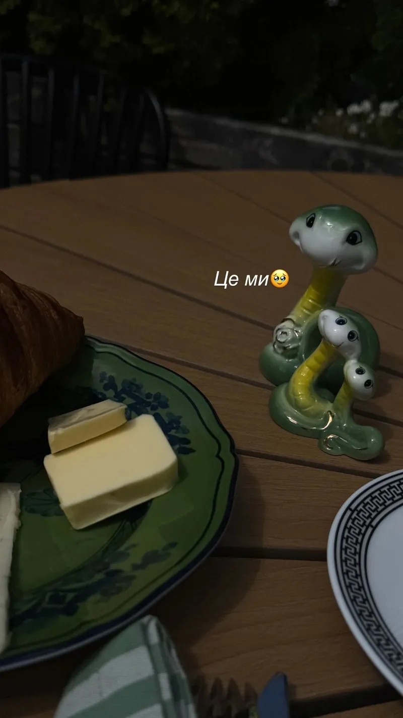 Завтрак в компании трёх змей: Леся Никитюк поразила неожиданной фотографией - today.ua