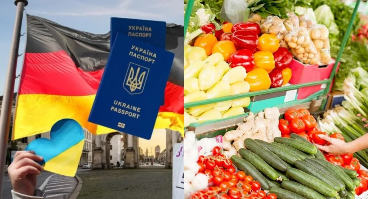 Ціни на продукти в Україні, Польщі та Німеччині: де їжа коштує дешевше  - today.ua