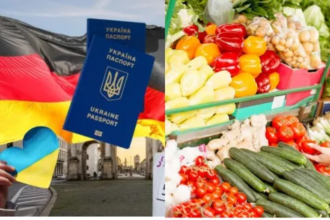 Цены на продукты в Украине, Польше и Германии: где еда стоит дешевле