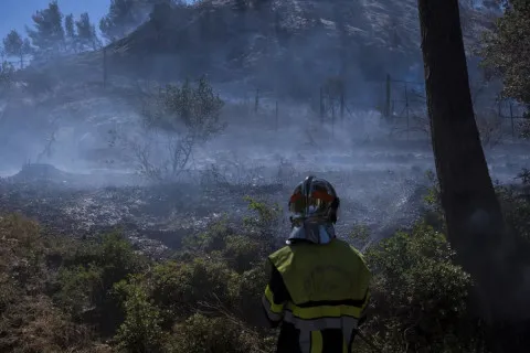 Сверхмощный пожар уничтожает окрестности Марселя: более 100 раненых, тысячи спасаются бегством