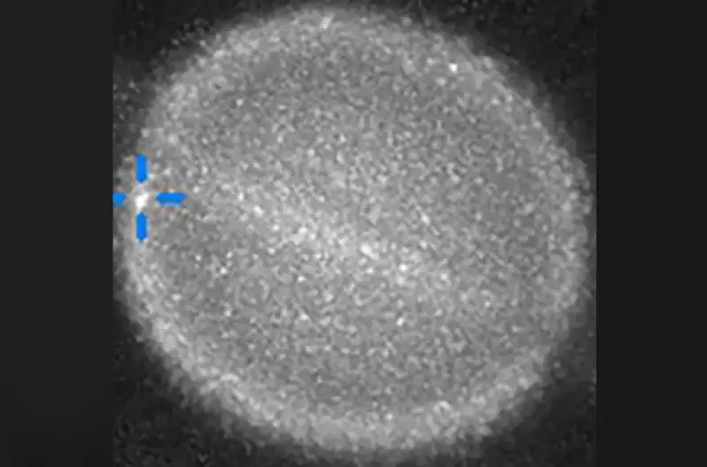 Гигантский астероид или межзвездный корабль пришельцев: астрономы зафиксировали эпический взрыв в Солнечной системе (Фото) Гигантский астероид или межзвездный корабль пришельцев: астрономы зафиксировали эпический взрыв в Солнечной системе (Фото) - today.ua