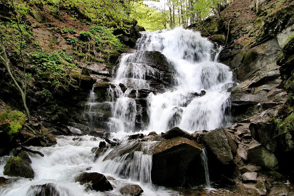Уже десятки отравленных на Закарпатье: что стало источником инфекции - today.ua