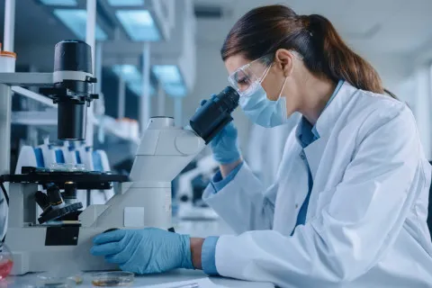 Новая угроза для человечества: медики сообщают о неизлечимом грибке