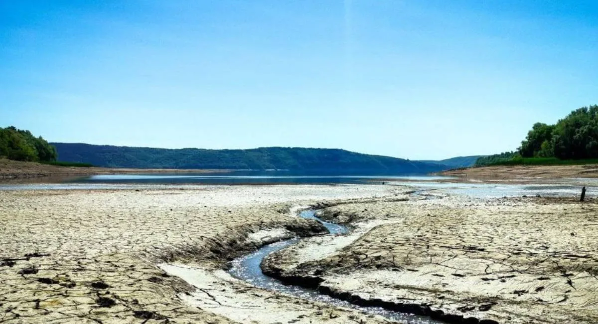 Катастрофу не остановить: вторая по длине река Украины превращается в болото - today.ua