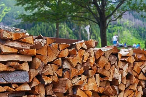 Дешевше не буде: українці розкуповують дрова вже в липні