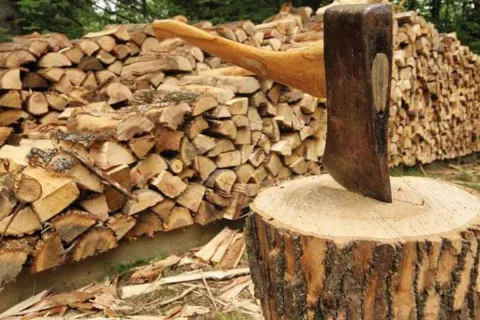 Дрова знову дорожчають: чи зупиниться зростання цін — пояснили експерти