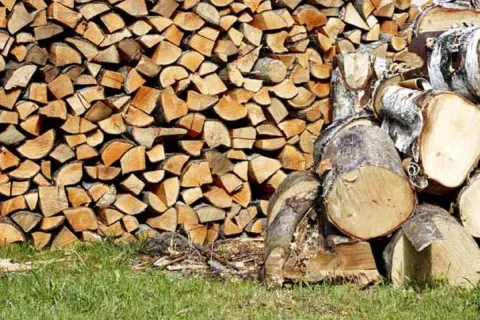 Зберігання дров без документів: які штрафи можуть очікувати на українців