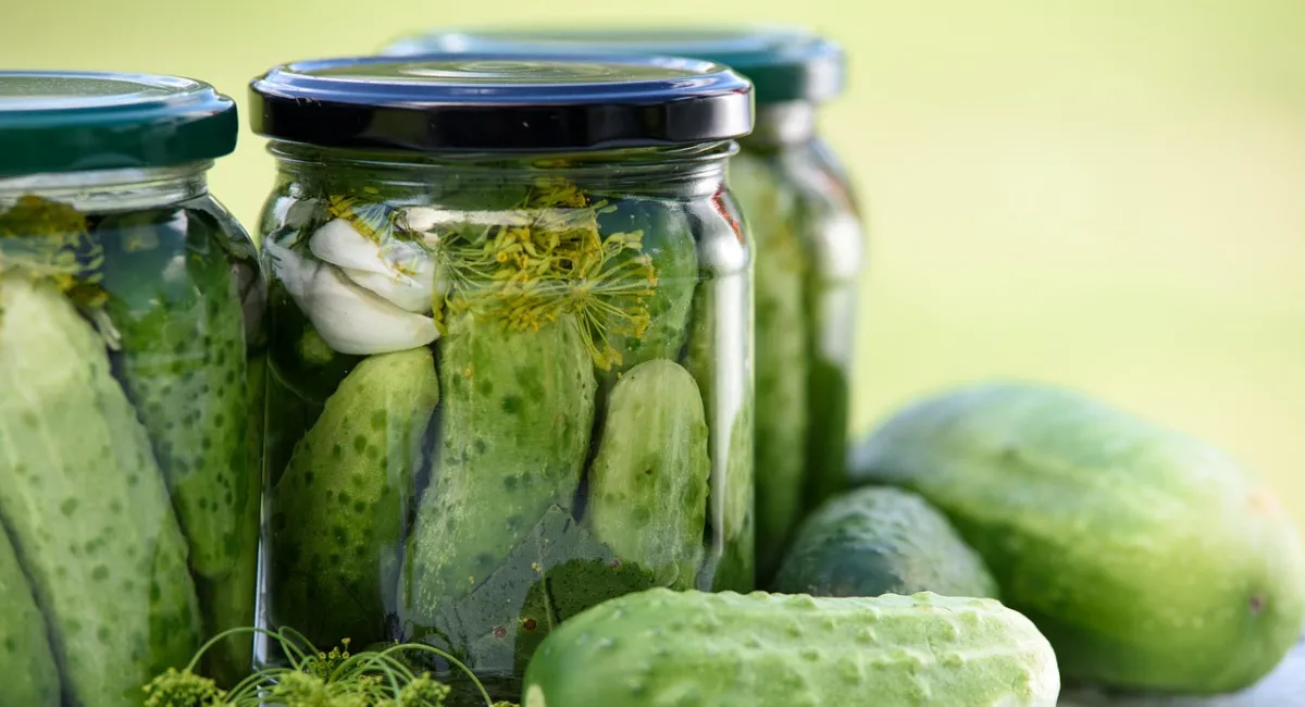 Сезон консервації: скільки українцям коштуватиме заготівля огірків на зиму в 2025 році - today.ua