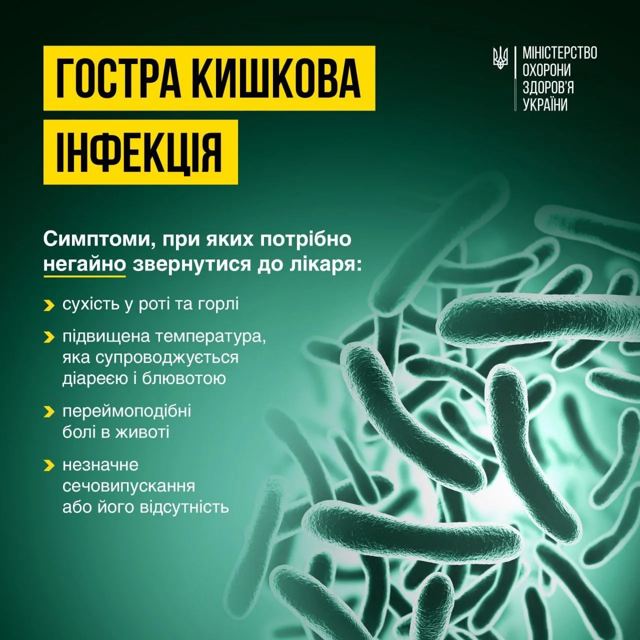 У трьох областях України зафіксували спалахи гострих кишкових інфекцій: як уникнути проблем - today.ua