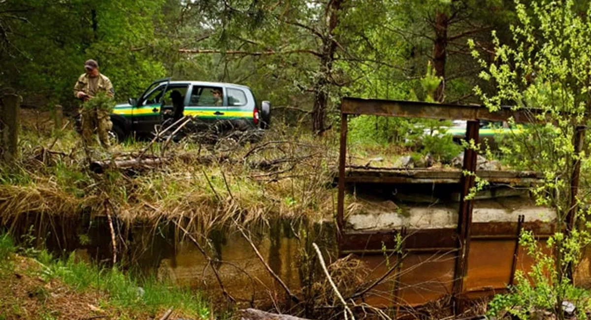 Вчені знайшли в Чорнобилі незвичайну істоту, яка повзає без ніг, шукає їжу й виживає без мозку (фото) - today.ua