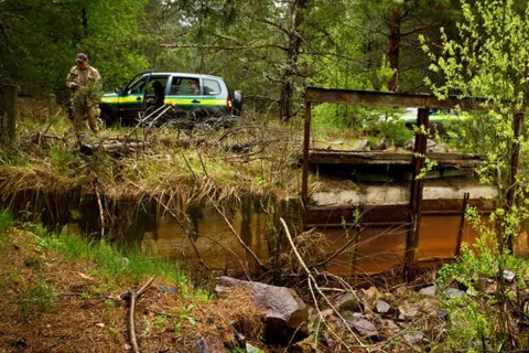 Ученые нашли в Чернобыле необычное существо, которое ползает без ног, ищет еду и выживает без мозга (фото)