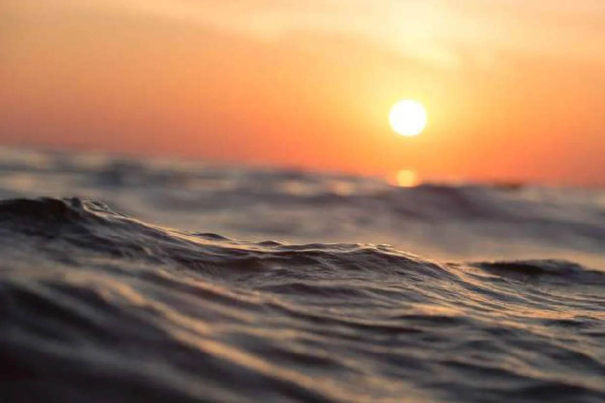 Планета изменяется навсегда: ученые фиксируют признаки глобального климатического сдвига Планета изменяется навсегда: ученые фиксируют признаки глобального климатического сдвига - today.ua