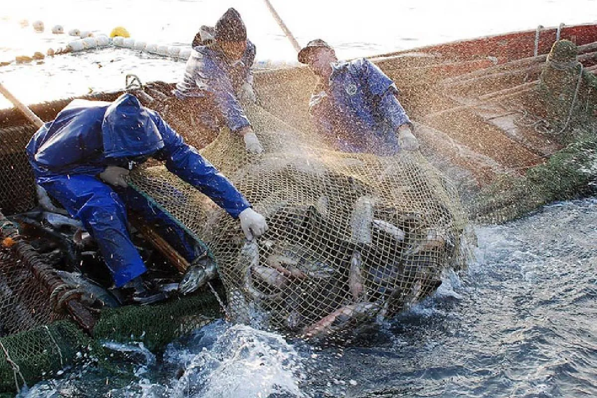 Планета изменяется навсегда: ученые фиксируют признаки глобального климатического сдвига Планета изменяется навсегда: ученые фиксируют признаки глобального климатического сдвига - today.ua