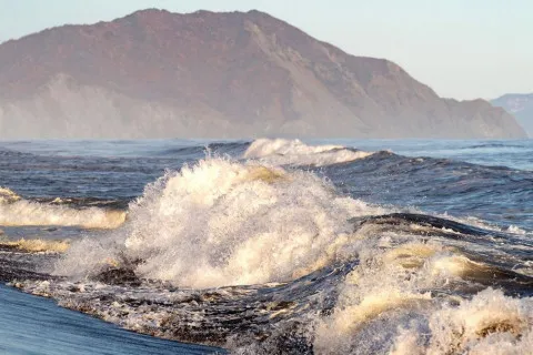 Мощное землетрясение на Камчатке вызвало цунами: в Японии и на Гавайях проходит массовая эвакуация