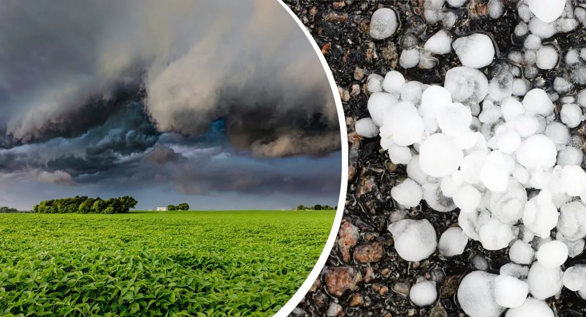 Грозы, град и шквалы: ГСЧС предупредила украинцев об ухудшении погодных условий - today.ua