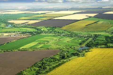 Продаж землі в оренді: що потрібно знати власнику паю