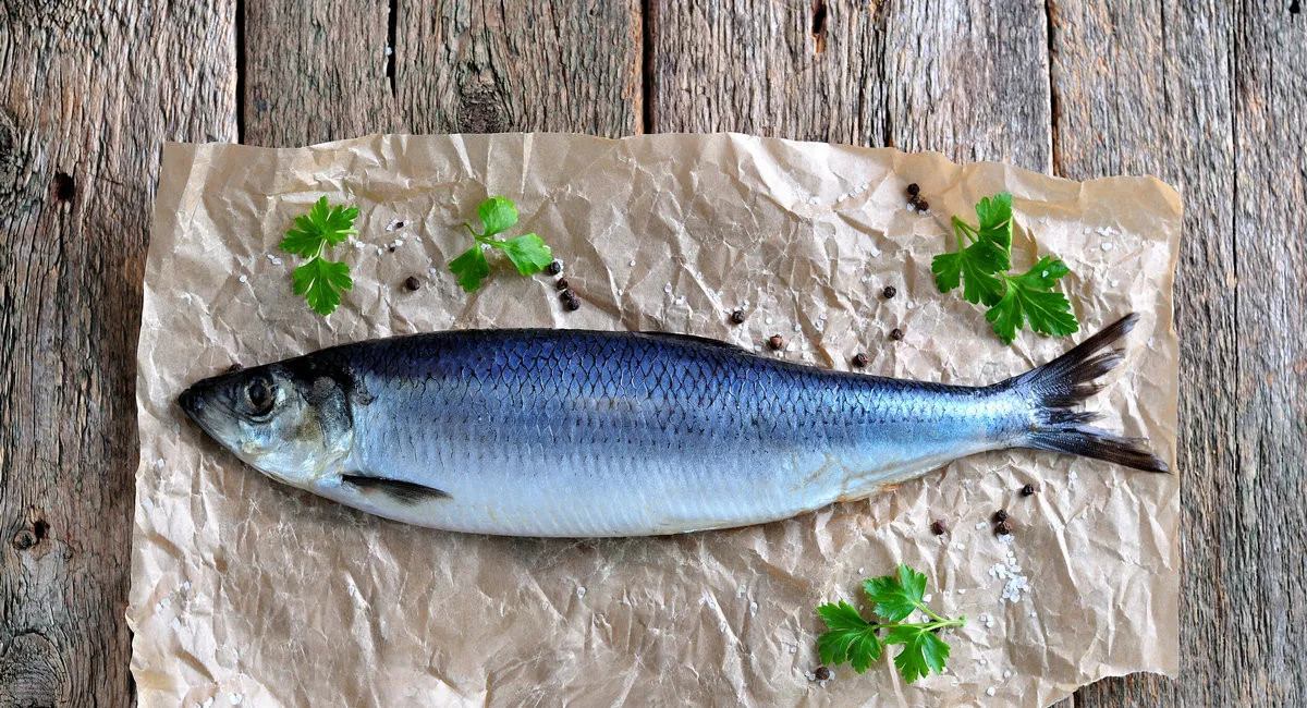 Найнебезпечніший для здоров'я оселедець: яку рибу краще не купувати і як обрати якісну - today.ua