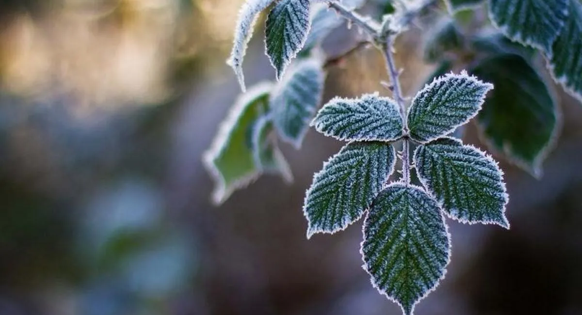 Украинцам сообщили о снеге и морозе в июне: ученые называют причину - today.ua
