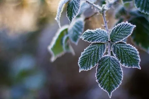 Украинцам сообщили о снеге и морозе в июне: ученые называют причину