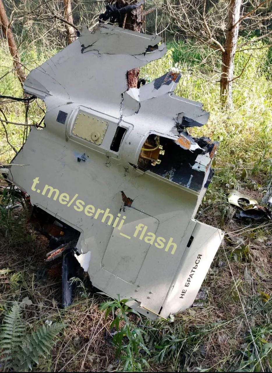 Впервые в Украине: зафиксирован модернизированный Шахед с камерой, ИИ и радиоуправлением из России - today.ua