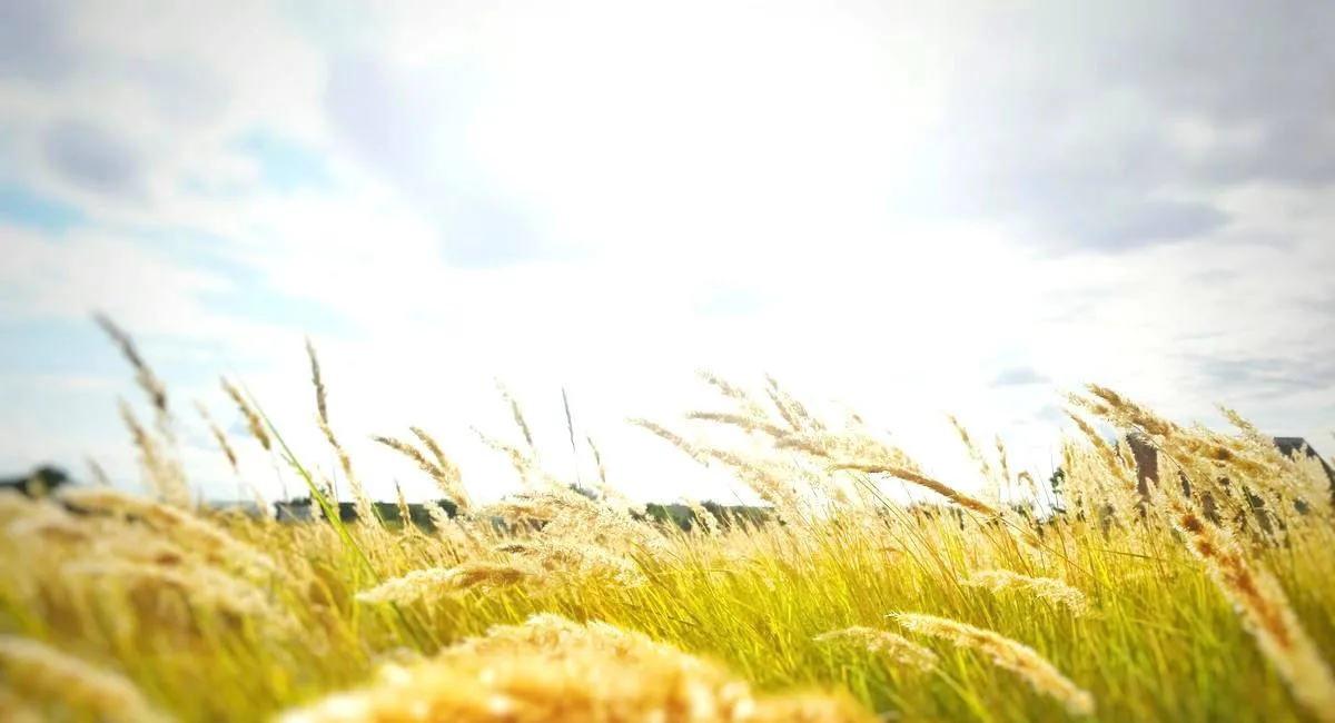 В Украину идет новая волна похолодания: синоптик советует доставать теплые вещи - today.ua