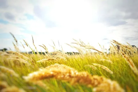 В Украину идет новая волна похолодания: синоптик советует доставать теплые вещи