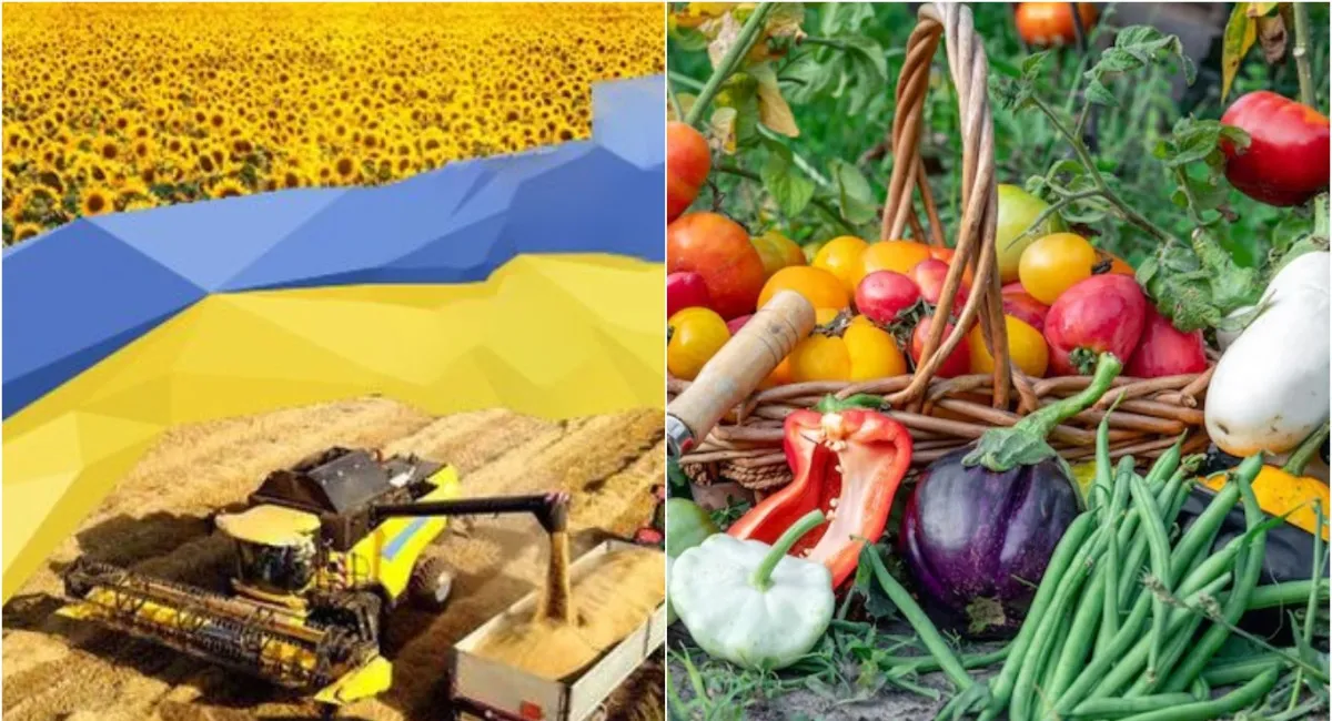 Пол-Украины может остаться без урожая: граждан предупредили об опасности - today.ua