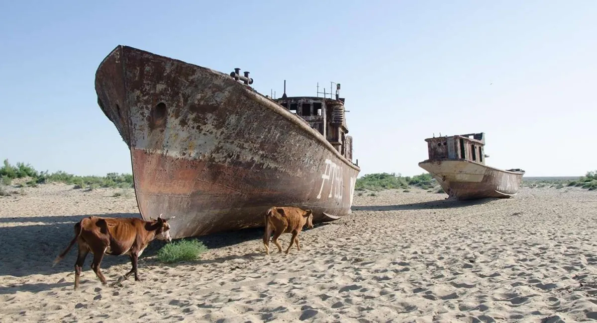Начало сбываться одно из пророчеств, которое считают предвестием апокалипсиса: что написано об этом в Библии - today.ua