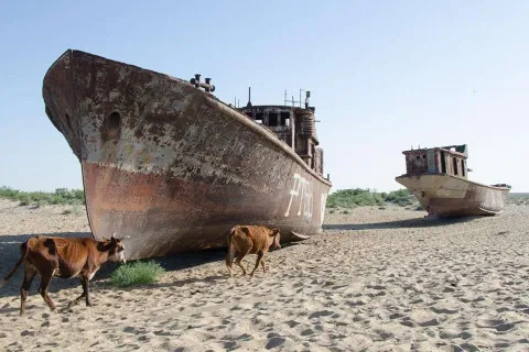 Почало збуватися одне з пророцтв, яке вважають передвістям апокаліпсису: що написано про це у Біблії