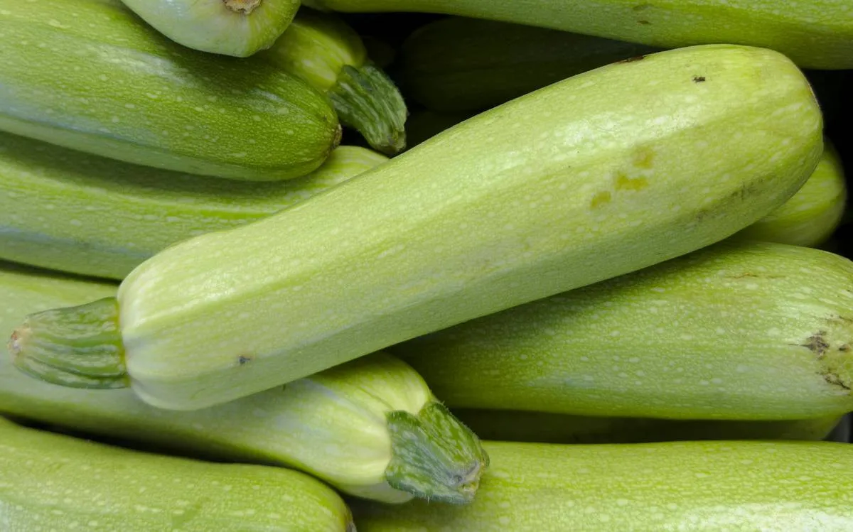 Какой овощ защищает от рака, диабета и катаракты: диетологи рекомендуют есть каждый день Какой овощ защищает от рака, диабета и катаракты: диетологи рекомендуют есть каждый день - today.ua