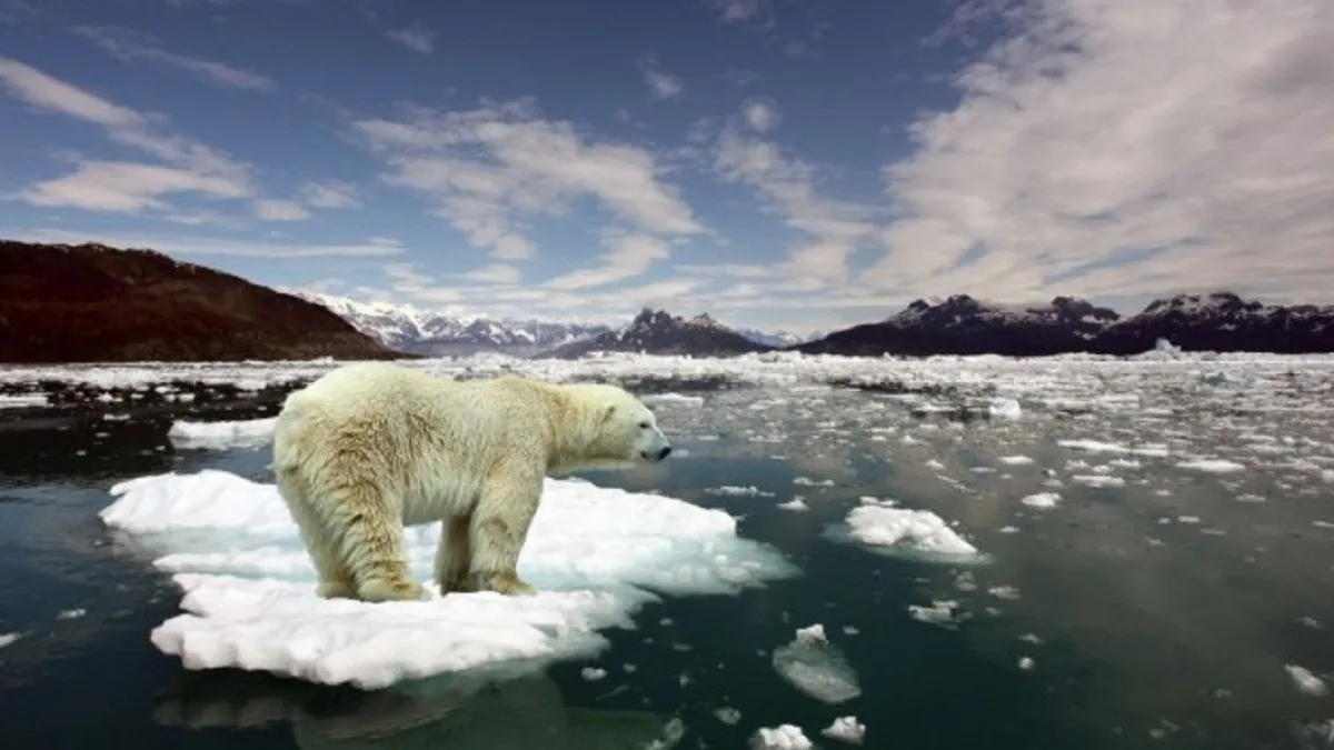 До глобальной климатической катастрофы остается три года: что может произойти с планетой - today.ua