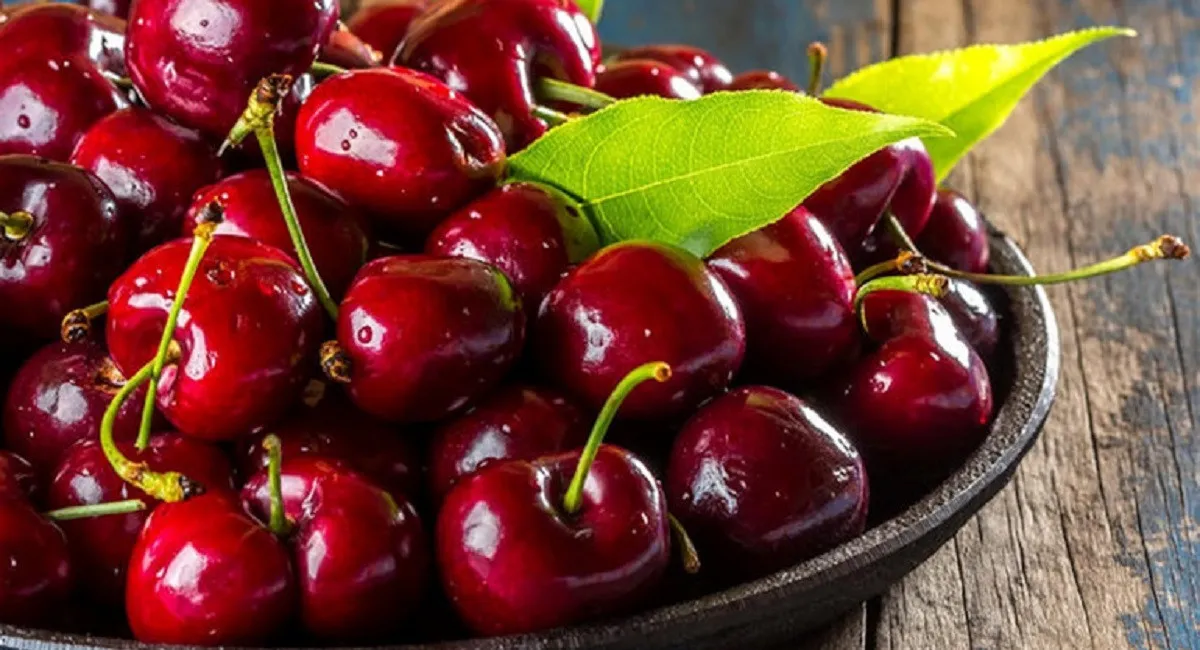 На тлі захмарних цін на ягоди в Києві можна купити черешню за 5 гривень - today.ua